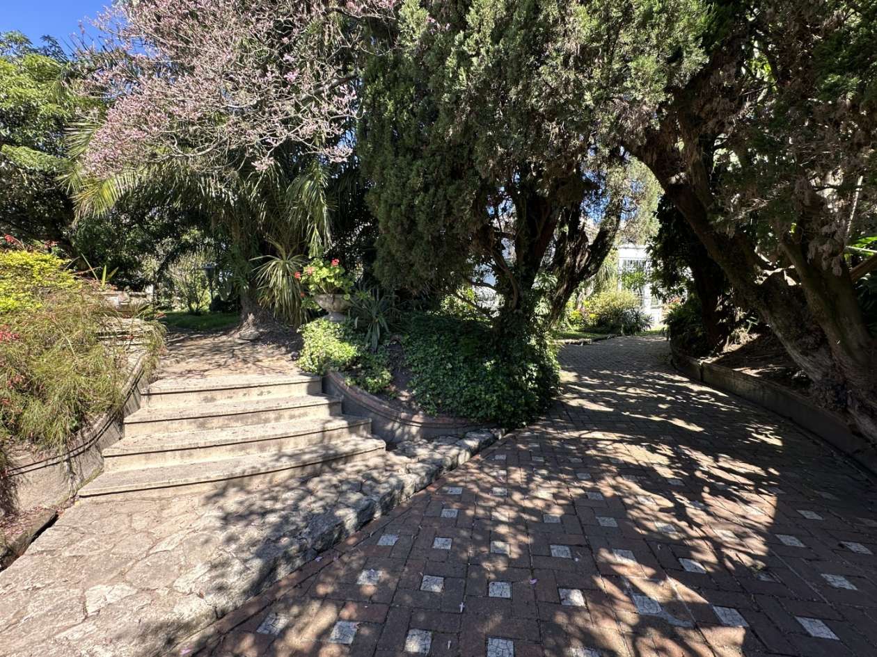 Casa, 3 quartos, 480 m² - Foto 5