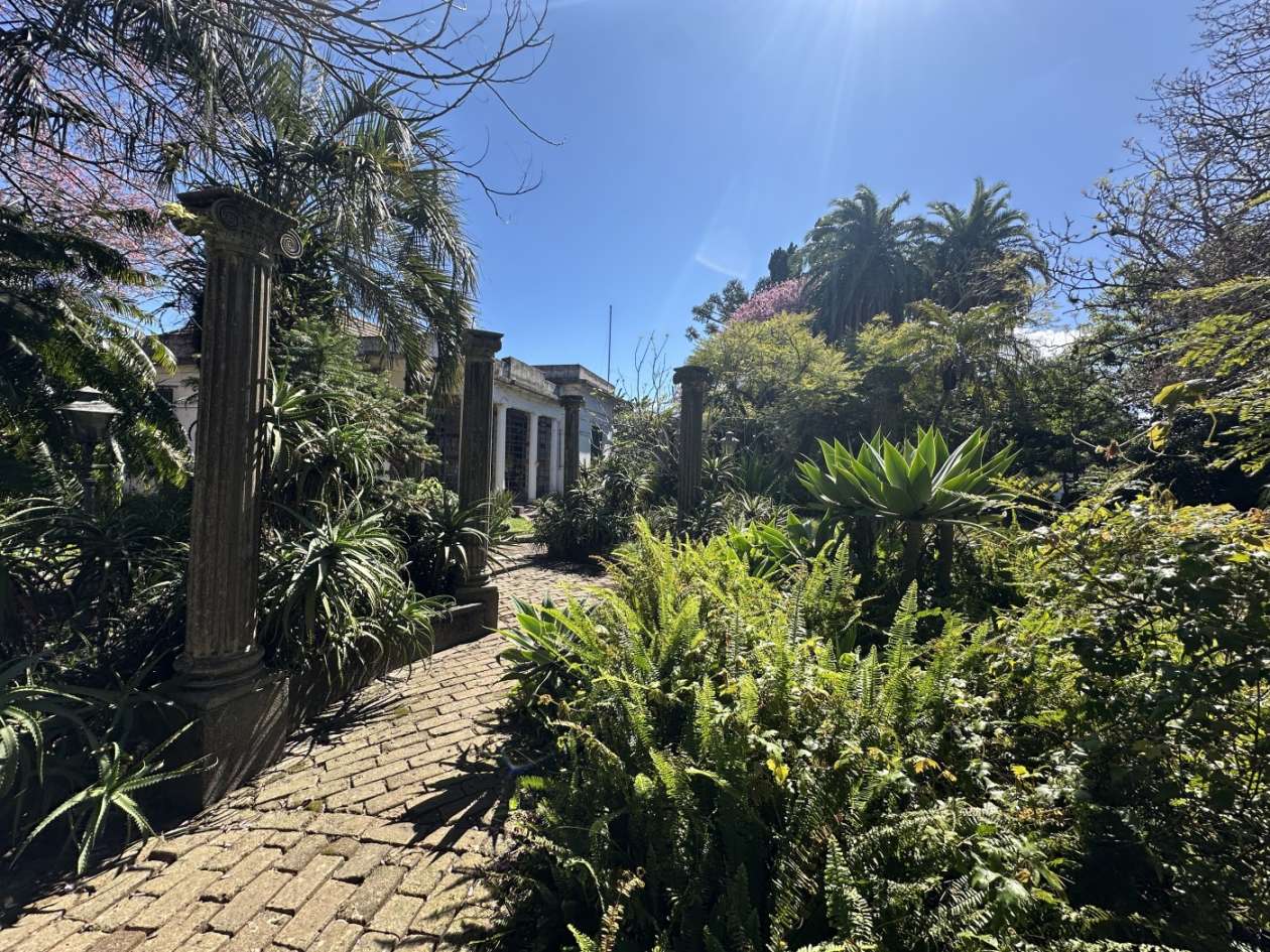 Casa, 3 quartos, 480 m² - Foto 7