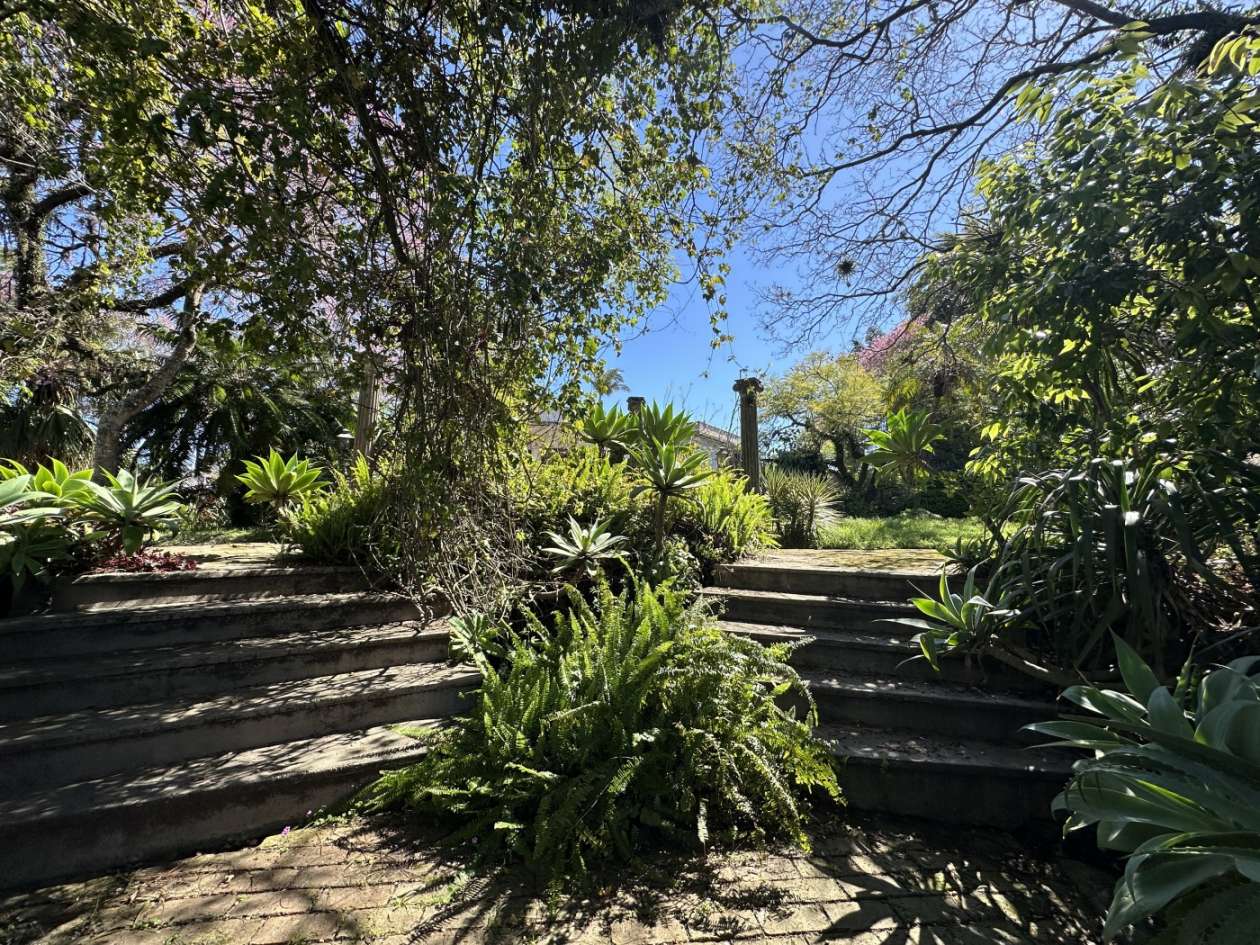 Casa, 3 quartos, 480 m² - Foto 8